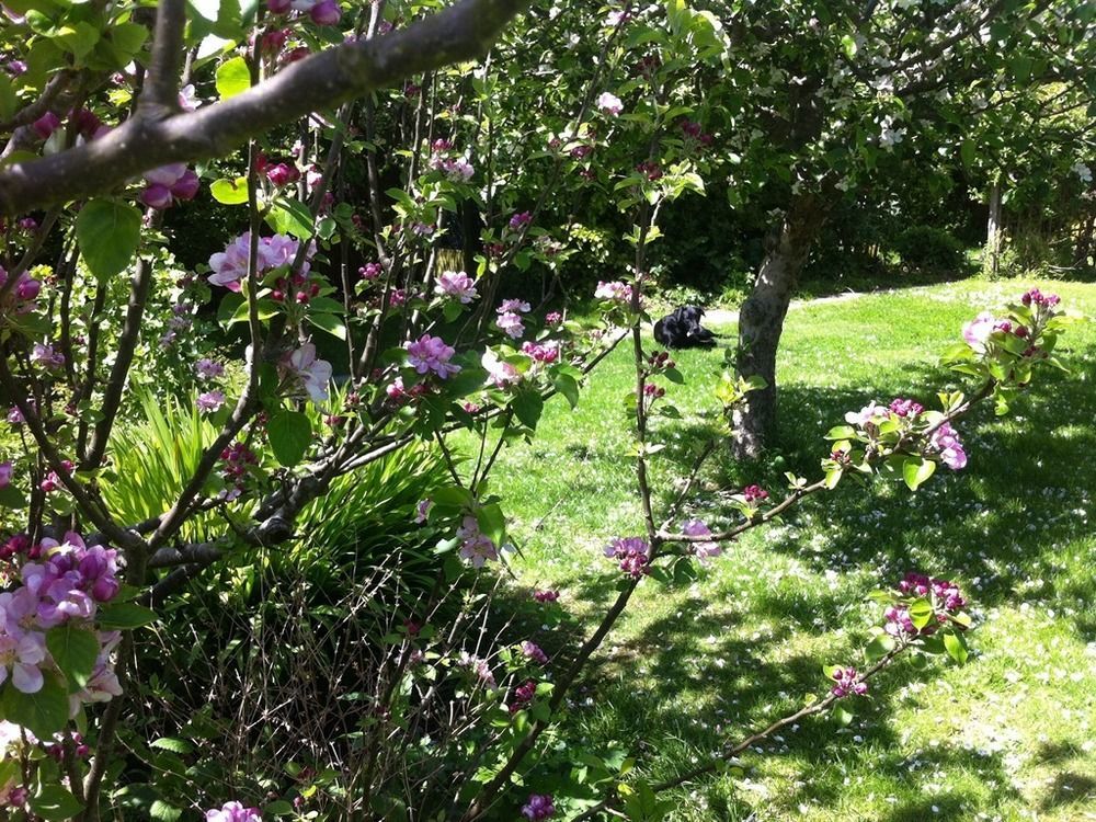 סוואנאייג' Arbour House B&B מראה חיצוני תמונה